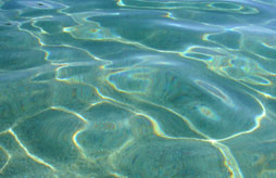 Holiday rental Village Vacances Les Hameaux de Mucchiatana Venzolasca Holiday rental Village Vacances Les Hameaux de Mucchiatana Venzolasca