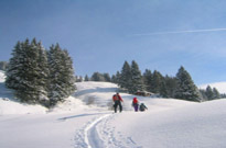 Northern Alps