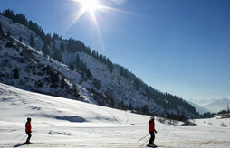 FLAINE