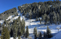 GRESSE EN VERCORS