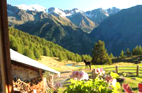 CAMPING PLEIN SOLEIL