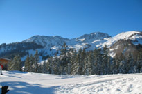 Holiday rental Les Chalets de Seyne Holiday rental Les Chalets de Seyne
