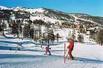 Ski in family