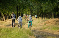 Holiday rental Domaine Center Parcs Les Bois-Francs Holiday rental Domaine Center Parcs Les Bois-Francs